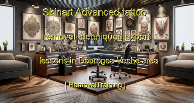 Skinart Advanced tattoo removal techniques expert lessons in Dobrogea Veche area | RemovalTraining | RemovalClasses | SkinartTraining-Moldova